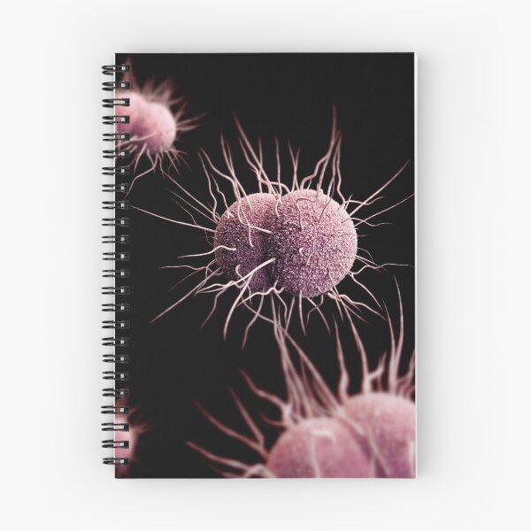 Item preview, STK701455H-3D image of Neisseria gonorrhoeae bacteria. designed and sold by StocktrekImages.