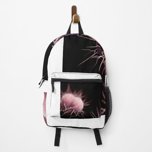 Item preview, STK701455H-3D image of Neisseria gonorrhoeae bacteria. designed and sold by StocktrekImages.