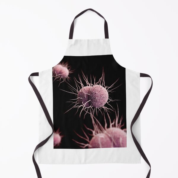 Item preview, STK701455H-3D image of Neisseria gonorrhoeae bacteria. designed and sold by StocktrekImages.