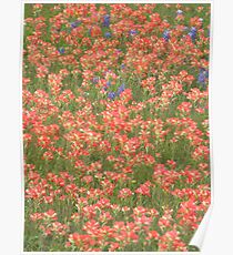 Patch des indischen Pinsel Poster