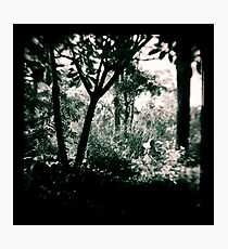 The Surreptitious Pixie Photographic Print