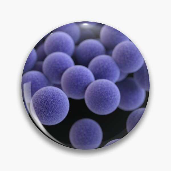 Item preview, STK701459H-3D cluster of Staphylococcus aureus bacteria. designed and sold by StocktrekImages.