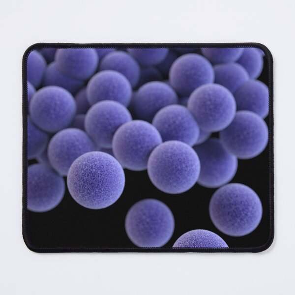 Item preview, STK701459H-3D cluster of Staphylococcus aureus bacteria. designed and sold by StocktrekImages.
