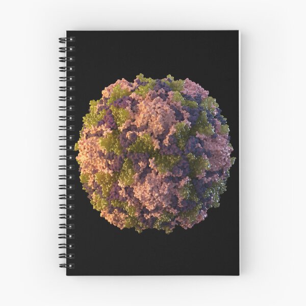 Item preview, STK701461H-3D icosahedral poliovirus particle. designed and sold by StocktrekImages.