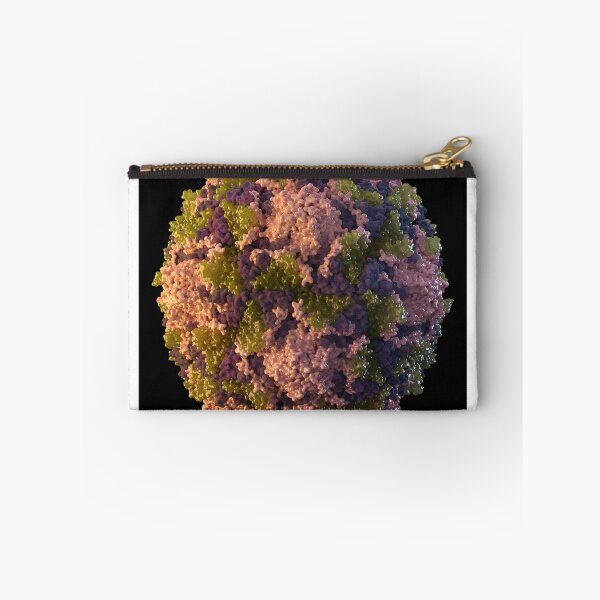 Item preview, STK701461H-3D icosahedral poliovirus particle. designed and sold by StocktrekImages.