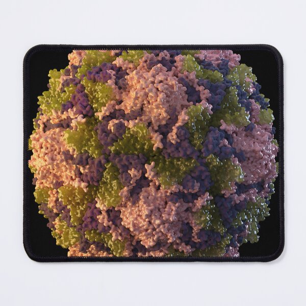 Item preview, STK701461H-3D icosahedral poliovirus particle. designed and sold by StocktrekImages.