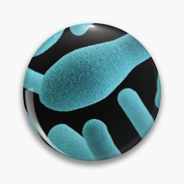 Item preview, STK701465H-3D group of anaerobic Clostridium sp. organisms. designed and sold by StocktrekImages.