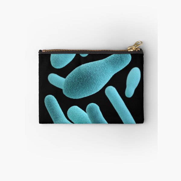Item preview, STK701465H-3D group of anaerobic Clostridium sp. organisms. designed and sold by StocktrekImages.