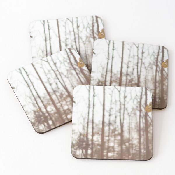 Item preview, The drought and overgrown teak plantation in the morning light designed and sold by Satakorn.