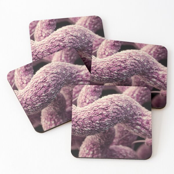 Item preview, STK701466H-3D Campylobacter sp. bacteria. designed and sold by StocktrekImages.