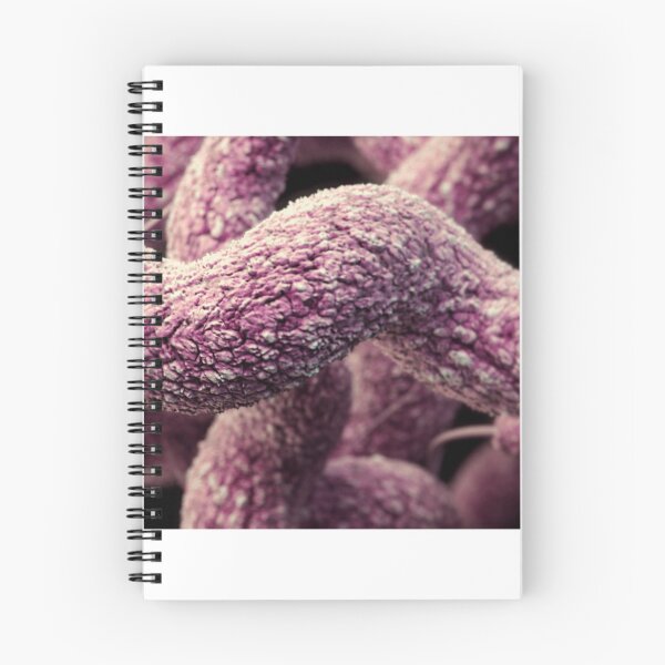 Item preview, STK701466H-3D Campylobacter sp. bacteria. designed and sold by StocktrekImages.