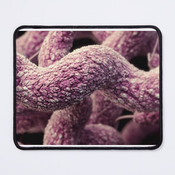 Item preview, STK701466H-3D Campylobacter sp. bacteria. designed and sold by StocktrekImages.