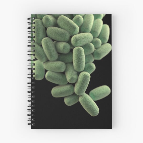 Item preview, STK701467H-3D cluster of Clostridium perfringens bacteria. designed and sold by StocktrekImages.