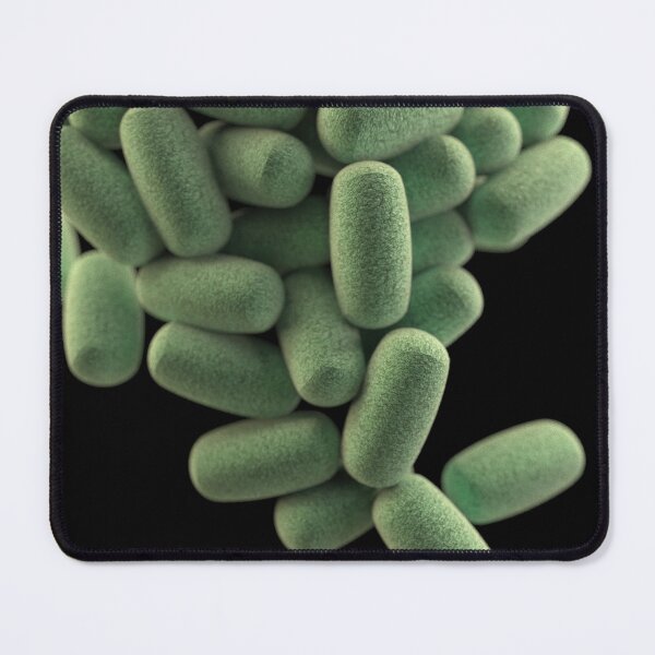 Item preview, STK701467H-3D cluster of Clostridium perfringens bacteria. designed and sold by StocktrekImages.