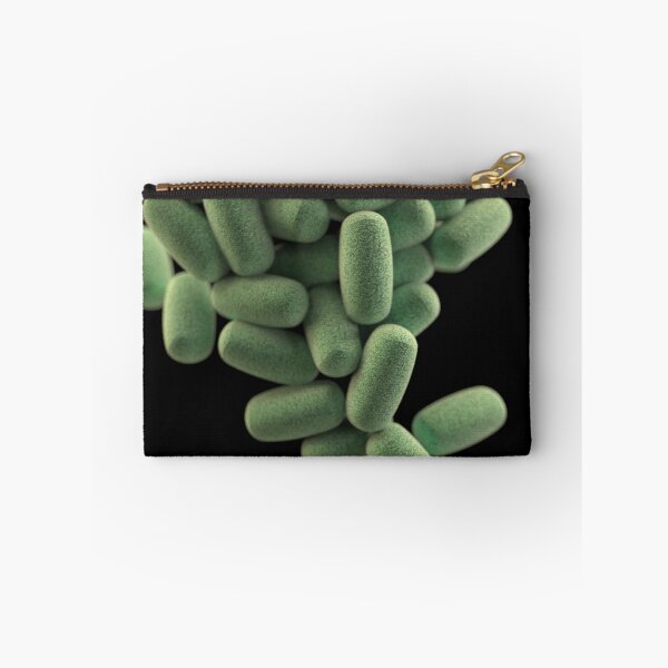 Item preview, STK701467H-3D cluster of Clostridium perfringens bacteria. designed and sold by StocktrekImages.