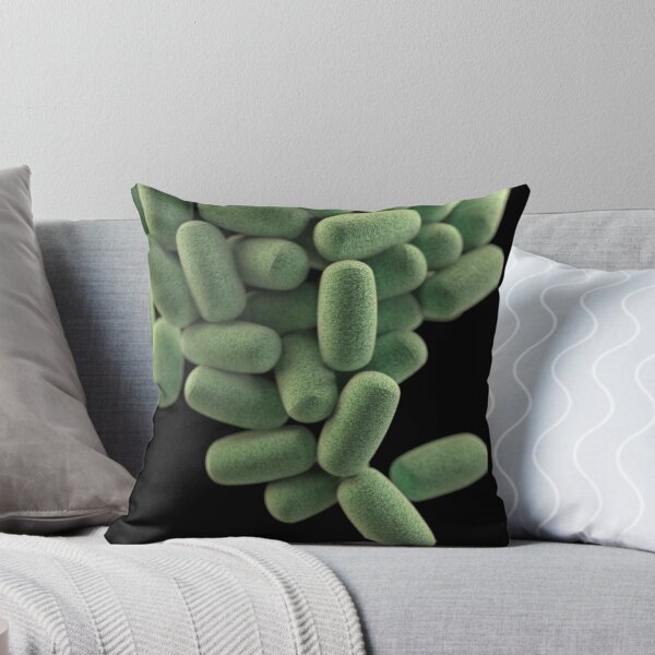 Item preview, STK701467H-3D cluster of Clostridium perfringens bacteria. designed and sold by StocktrekImages.