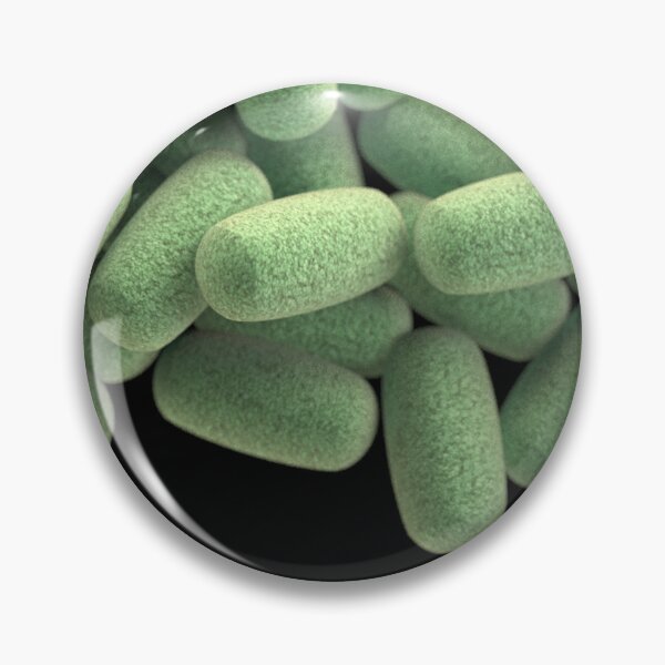 Item preview, STK701468H-3D cluster of Clostridium perfringens bacteria. designed and sold by StocktrekImages.