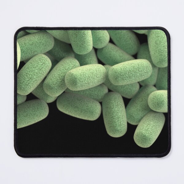 Item preview, STK701468H-3D cluster of Clostridium perfringens bacteria. designed and sold by StocktrekImages.