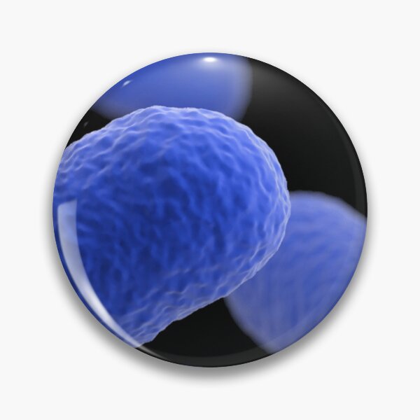 Item preview, STK701469H-3D grouping of Listeria monocytogenes bacteria. designed and sold by StocktrekImages.