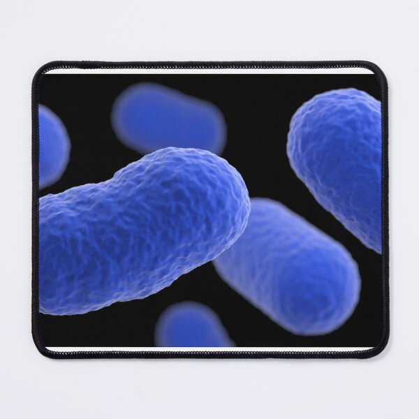 Item preview, STK701469H-3D grouping of Listeria monocytogenes bacteria. designed and sold by StocktrekImages.