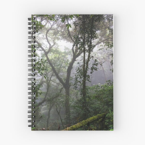 Item preview, Trees in the jungle rainforest, Monteverde, Ecaudor designed and sold by Kendall Anderson.
