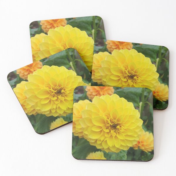 Item preview, Yellow Dahlias 3 designed and sold by Claire L Page Photography.