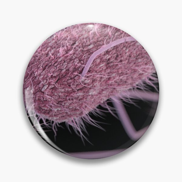 Item preview, STK701470H-3D Salmonella serotype Typhi bacteria. designed and sold by StocktrekImages.