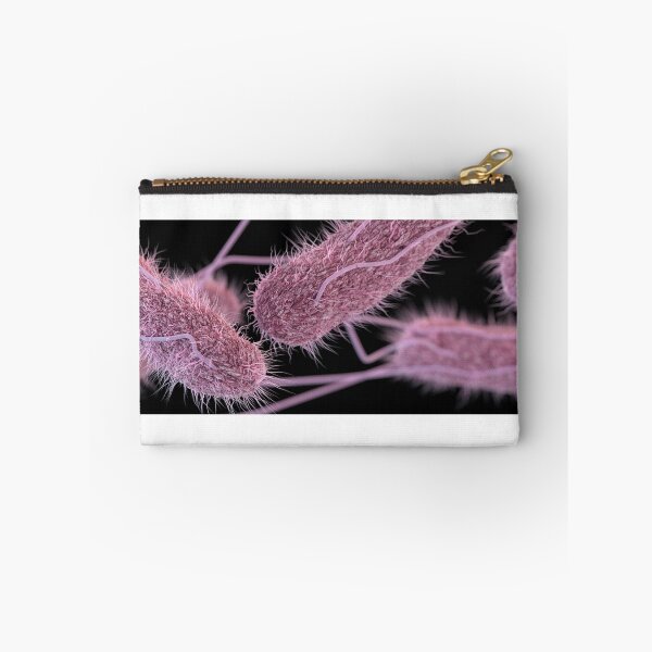 Item preview, STK701470H-3D Salmonella serotype Typhi bacteria. designed and sold by StocktrekImages.