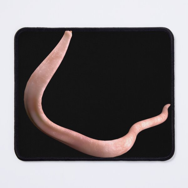 Item preview, STK701471H-3D rod-shaped Shigella bacteria. designed and sold by StocktrekImages.