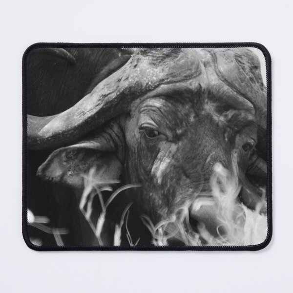Item preview, Cape Buffalo designed and sold by TylerDan.