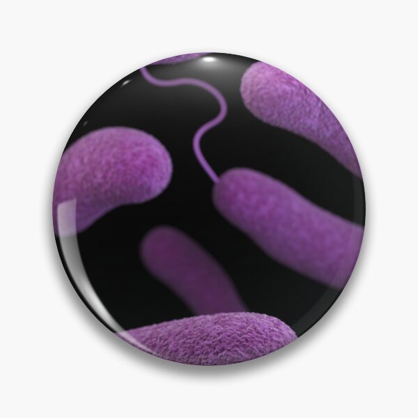 Item preview, STK701472H-3D Vibrio parahaemolyticus bacteria. designed and sold by StocktrekImages.