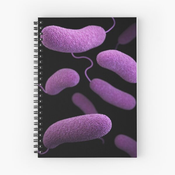Item preview, STK701472H-3D Vibrio parahaemolyticus bacteria. designed and sold by StocktrekImages.