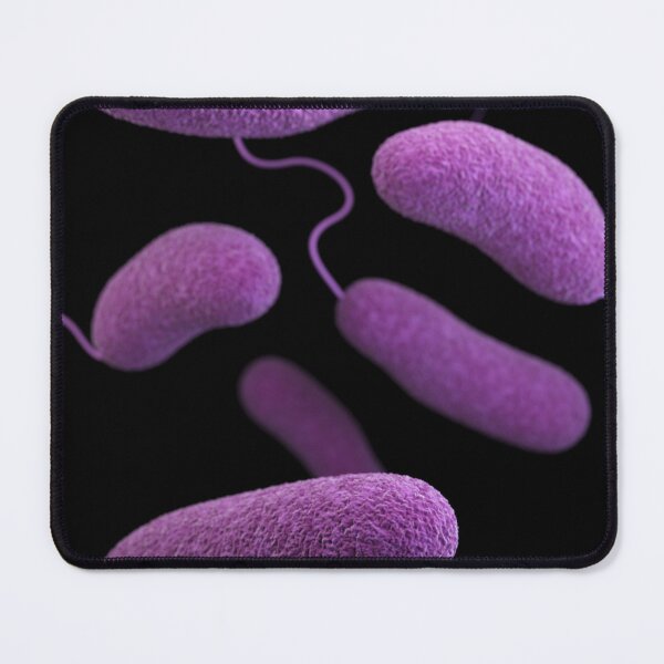 Item preview, STK701472H-3D Vibrio parahaemolyticus bacteria. designed and sold by StocktrekImages.