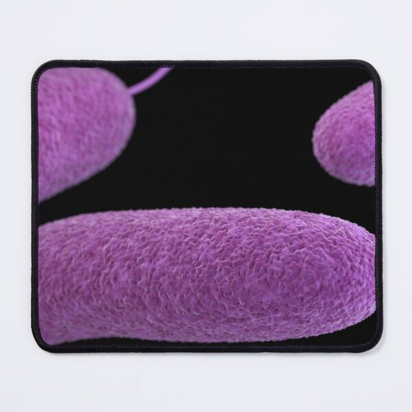 Item preview, STK701473H-3D Vibrio parahaemolyticus bacteria. designed and sold by StocktrekImages.