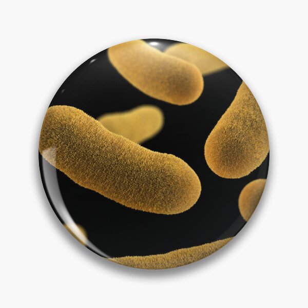 Item preview, STK701474H-3D Yersinia enterocolitica bacteria. designed and sold by StocktrekImages.