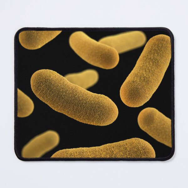 Item preview, STK701474H-3D Yersinia enterocolitica bacteria. designed and sold by StocktrekImages.