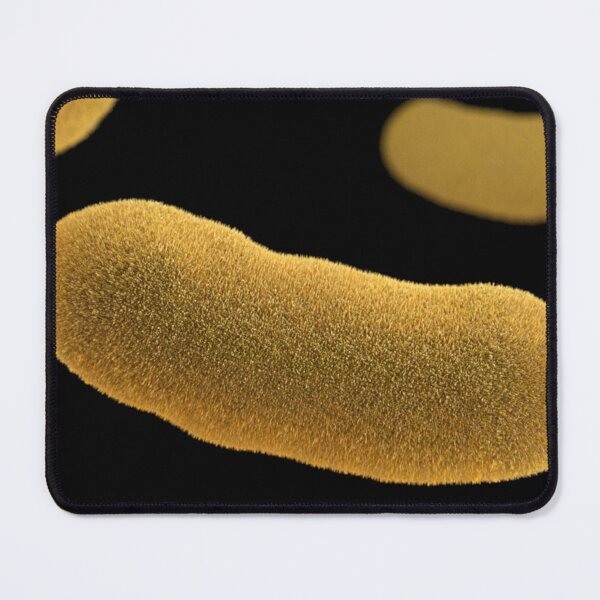 Item preview, STK701475H-3D Yersinia enterocolitica bacteria. designed and sold by StocktrekImages.