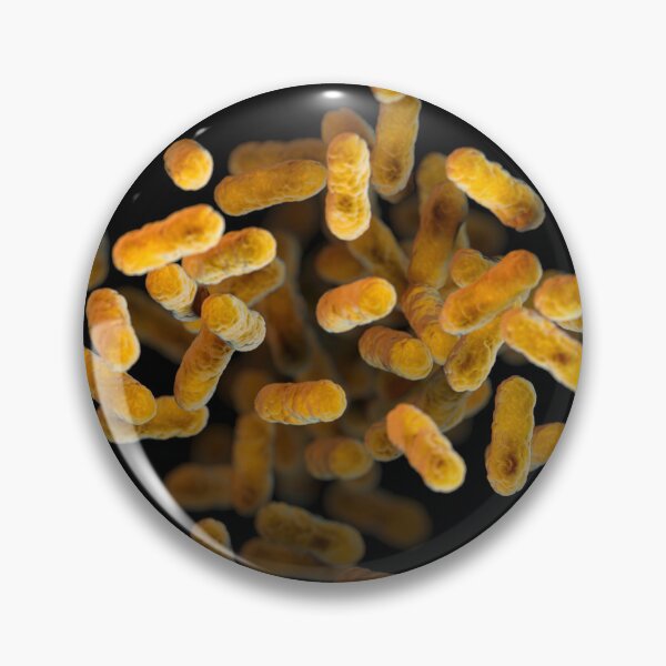 Item preview, STK701476H-3D Bordetella pertussis bacteria. designed and sold by StocktrekImages.