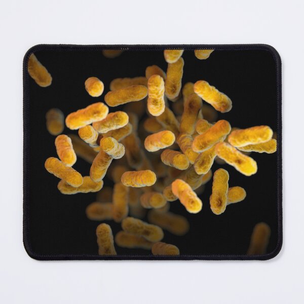 Item preview, STK701476H-3D Bordetella pertussis bacteria. designed and sold by StocktrekImages.