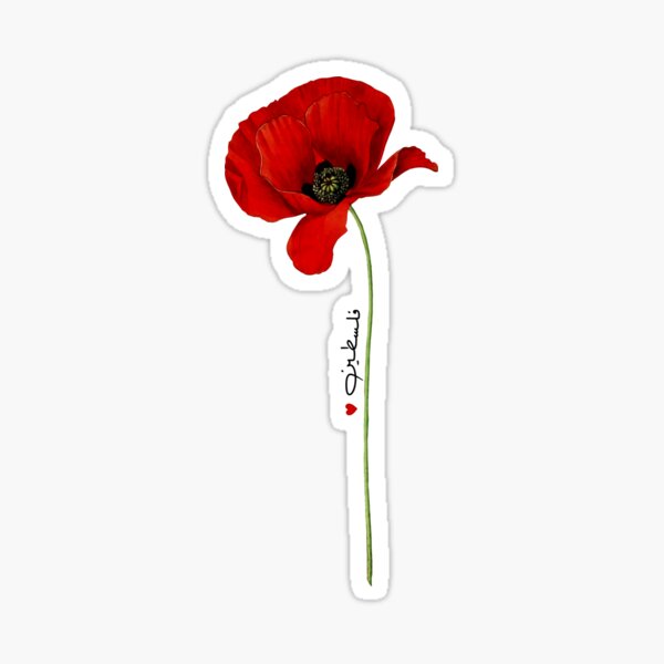 Poppy Flowers Sticker for Sale by Jamie Maher  Preppy stickers, Nature  stickers, Aesthetic stickers