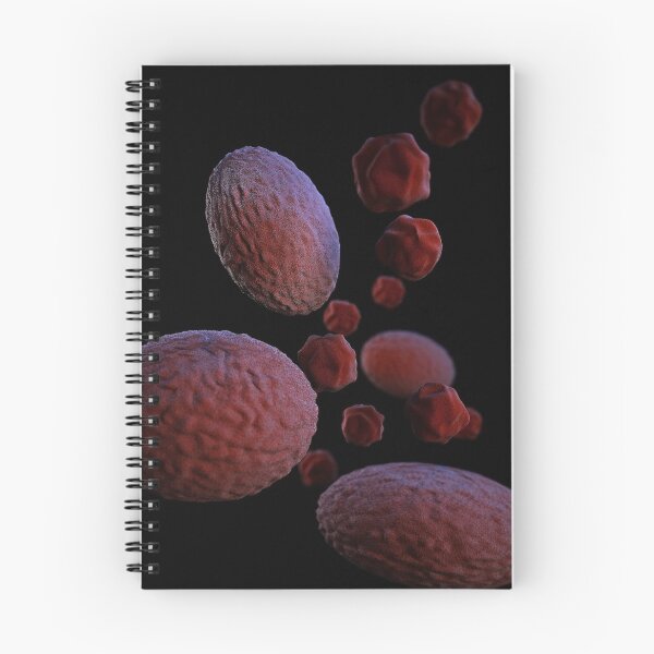 Item preview, STK701477H-3D Chlamydia psittaci bacteria. designed and sold by StocktrekImages.