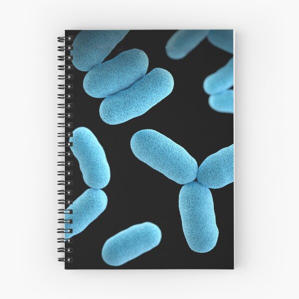 Item preview, STK701478H-3D Corynebacterium diphtheriae, bacteria. designed and sold by StocktrekImages.
