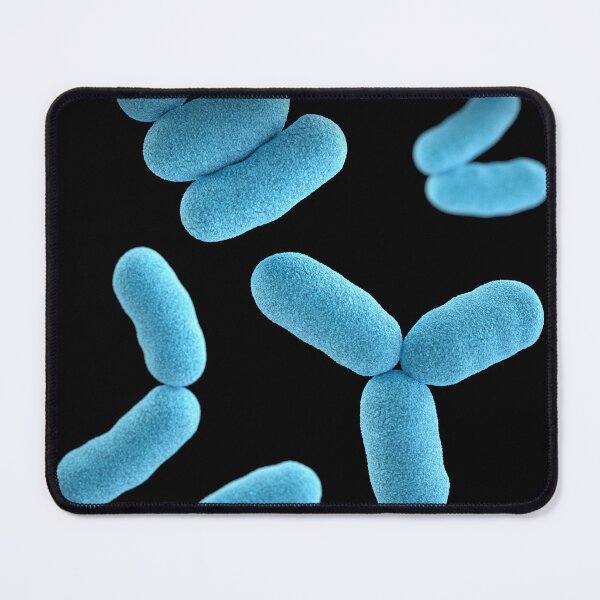 Item preview, STK701478H-3D Corynebacterium diphtheriae, bacteria. designed and sold by StocktrekImages.