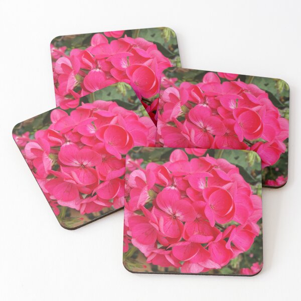 Item preview, Hot Pink Geraniums designed and sold by Claire L Page Photography.