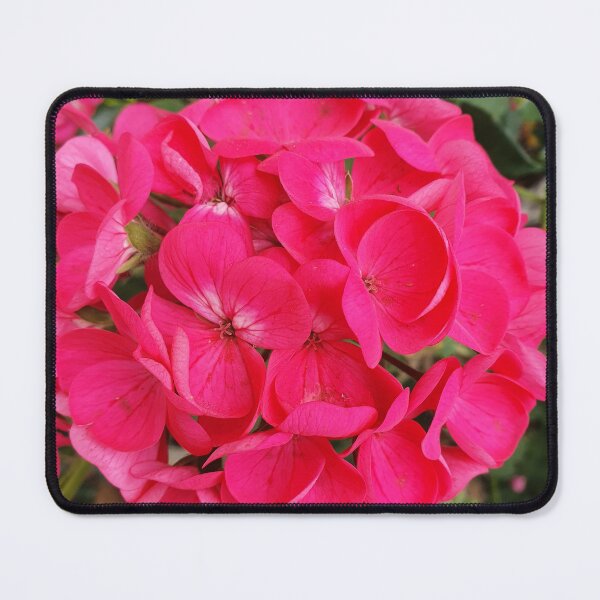Item preview, Hot Pink Geraniums designed and sold by Claire L Page Photography.