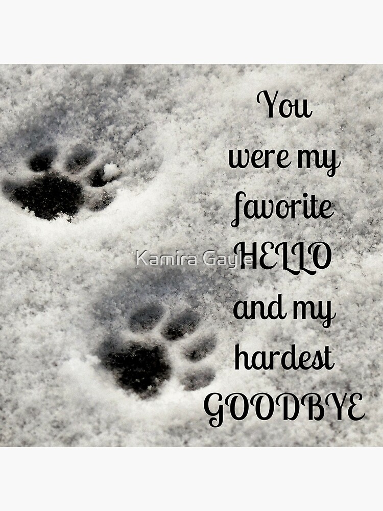 You were my favorite hello and my hardest goodbye by Impurrfectlife