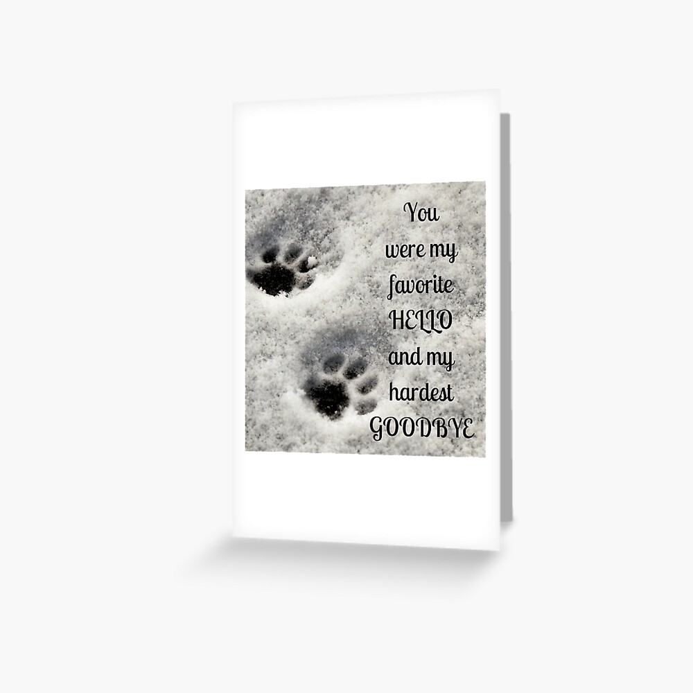 My hardest goodbye picture