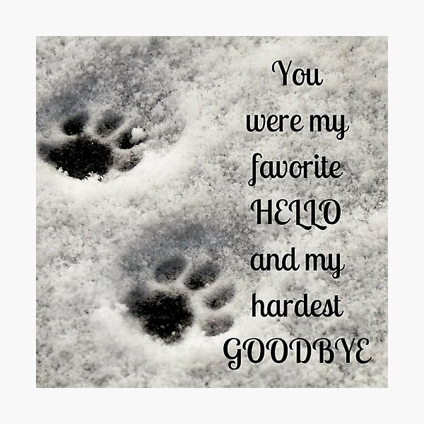 You were my favorite hello and my hardest goodbye Photographic Print
