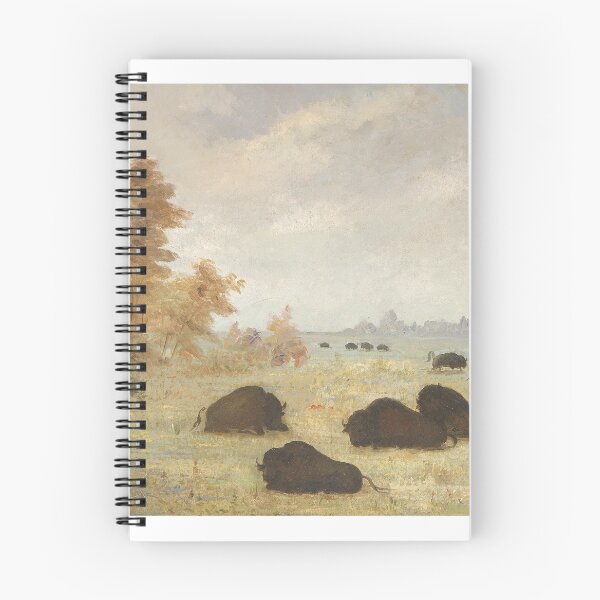 Item preview, george catlin paintings george catlin artwork designed and sold by Amy-Hamilton.
