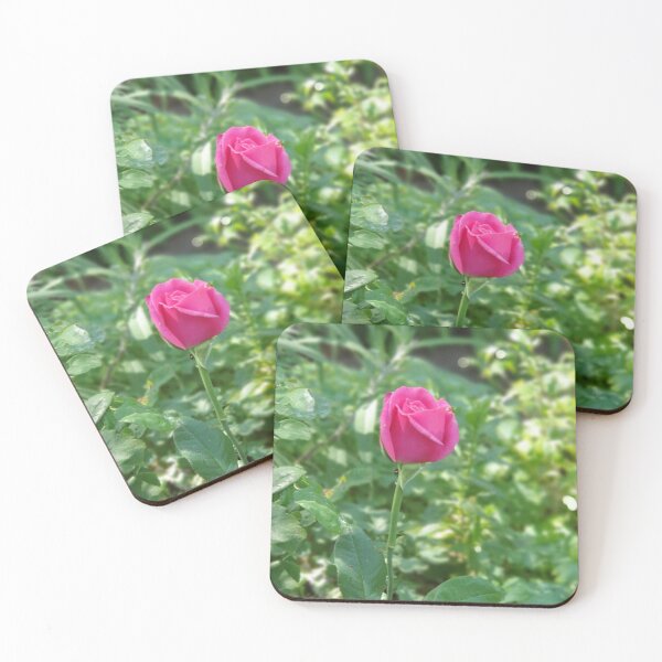 Item preview, Hot Pink Rosebud designed and sold by Claire L Page Photography.